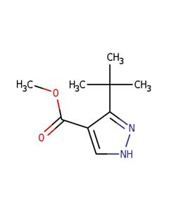 Astatech METHYL 3-(TERT-BUTYL)-1H-PYRAZOLE-4-CARBOXYLATE; 1G; Purity 98%; MDL-MFCD00829900